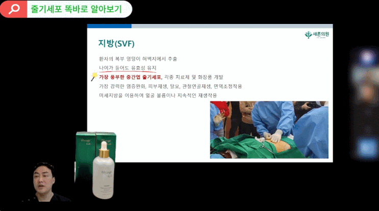 SVF 지방줄기세포 — 면역조절·조직 재생 작용