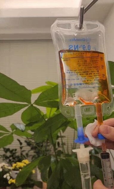 A nurse at Saeron Clinic preparing an NAD IV drip with a syringe, a green houseplant in the background