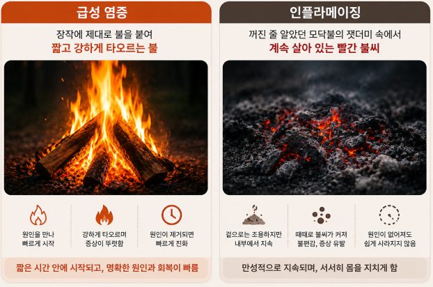 A diagram comparing the difference between acute inflammation and inflammaging using a wood fire and an ember in ash