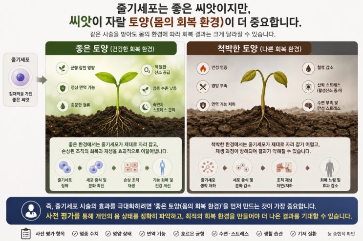 좋은 토양과 척박한 토양에서 줄기세포 반응이 어떻게 달라지는지 비교한 도해